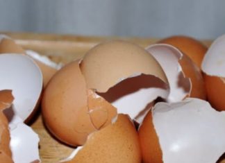 რეცეპტი, რომელიც უებარია კალციუმის დეფიციტის შესავსებად – ყველასთვის სასარგებლო ინფორმაცია!