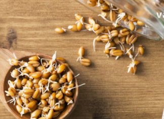 მიიღეთ ეს 5 თვეში ერთხელ და არასოდეს გახდებით ავად! – ყველაზე ძლიერი ბუნებრივი ანტიბიოტიკი!