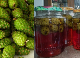 სიახლძარღვებისა და წნევის დარეგულირებისთვის  ერთ-ერთი კარგი საშუალებაა ფიჭვის ყვავილისა და მტვრის საფუძველზე დამზადებული სპირტიანი ნაყენი.