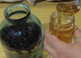 სამკურნალო სასმელი, რომელიც გაწმენდს თირკმელებს და გააუმჯობესებს სისხლის მიმოქცევას!