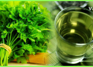 ოხრახუში და ქინძი საუკეთესოდ გამოდევნის თირკმელებიდან კენჭებს და ტოქსინებს