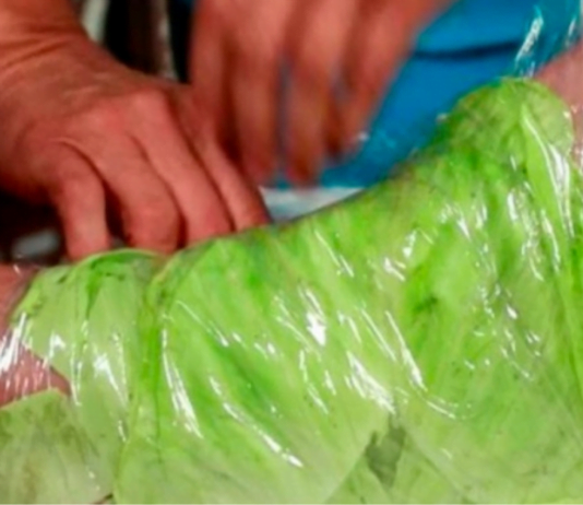 შეიხვიეთ ფეხები კომბოსტოთი 1 საათის განმავლობაში და ნახავთ რა დაემართება აუტანელ ტკივილს სახსრებში