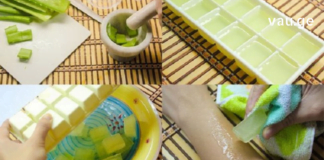 ეს სასწაული რეცეფტი აქამდე არავინ იცოდა! გაყინული ალოე ვერა ჯანრთელობისთვის