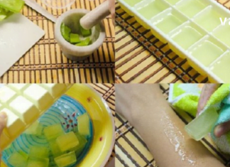 ეს სასწაული რეცეფტი აქამდე არავინ იცოდა! გაყინული ალოე ვერა ჯანრთელობისთვის