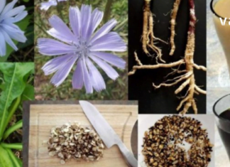 მნიშვნელოვანი ინფორმაცია დიაბეტიკებისთვის – გასწავლით, როგორ მოიწესრიგოთ შაქრის დონე ქიმიური პრეპარატების გარეშე.