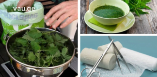 აი, რატომ უნდა მოიმარაგოთ ჭინჭარი: მას შეუძლია სასწაულების მოხდენა თქვენი ჯანმრთელობისთვის!