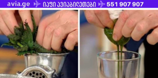 1 ღერო ჭინჭარი ცვლის 1სააფთიაქო წამალს – ასე ამბობდნენ ძველ საბერძნეთში