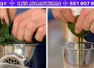 1 ღერო ჭინჭარი ცვლის 1სააფთიაქო წამალს – ასე ამბობდნენ ძველ საბერძნეთში