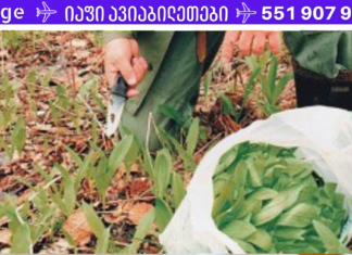 ყველაფერი, რაც ადამიანს სიცოცხლისთვის სჭირდება, ბუნებაშია! – ამ მცენარეს გერმანიის ხალხური მედიცინა მას იყენებს დამაწყნარებლად, უძილობის, მუცლის ტკივილის, ნერვებაშლილობის და მენსტრუაციული ანომალიების დროს.