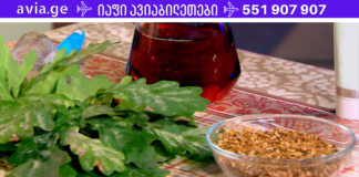 მუხა -ნატურალური წამალი, რომელიც უარყოფილია! ჩემი ოჯახი ავად ხდება! ეს ამ ძლიერი ანტიბიოტიკის დამსახურებაა!