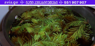 თუ დღეიდან დაიწყებთ ფიჭვის წიწვების სამკურნალო ნაყენის მიღებას უახლოესი 5 წელი წნევა აღარ შეგაწუხებთ! დროში გამოცდილი რეცეპტი!