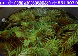 თუ დღეიდან დაიწყებთ ფიჭვის წიწვების სამკურნალო ნაყენის მიღებას უახლოესი 5 წელი წნევა აღარ შეგაწუხებთ! დროში გამოცდილი რეცეპტი!