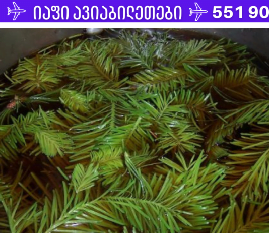 თუ დღეიდან დაიწყებთ ფიჭვის წიწვების სამკურნალო ნაყენის მიღებას უახლოესი 5 წელი წნევა აღარ შეგაწუხებთ! დროში გამოცდილი რეცეპტი!