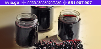 ეს ნაკლებად ცნობილი ნაყენი ნებისმიერ მედიკამეტზე უკეთ მკურნალობს ფაღარათს, პლევრიტს ხველასაც კი! აუცილებლად ჩაინიშნეთ ეს რეცეპტი!