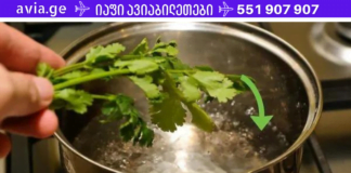 ეს მწვანე ნახარში 10 დღეში წმენდს თირკმელებს ყველანაირი ტოქსინებისგან და კენჭებისგან!