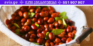 ბებია 85 წლისაა და არასდროს ჰქონია მაღალი წნევა და ქოლესტერინი! აი რას აკეთებს ამისთვის!