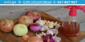 გაგაცნობთ 7 მიზეზს, თუ რატომაც უნდა დაიწყოთ ამ ხახვის ჭამა! ნახეთ, როგორ მუშაობს იგი.