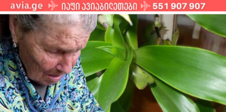 ოქროს ულვაში: ცნობილია, როგორც 100 დავაადების წამალი! იგი ნებისმიერ ტკივილგამაყუჩებელზე უკეთ მოქმედებს!