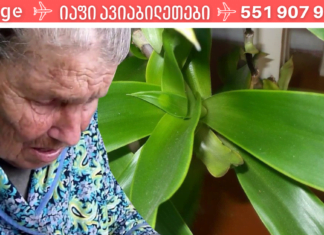 ოქროს ულვაში: ცნობილია, როგორც 100 დავაადების წამალი! იგი ნებისმიერ ტკივილგამაყუჩებელზე უკეთ მოქმედებს!