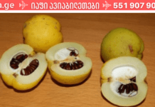 მე და ჩემი ოჯახის წევრები ეფექტურად ვმკურნალობთ ანთებას და ხველას! სულ რაღაც ერთ ღამეში დაივიწყებთ ამ პრობლემებს!