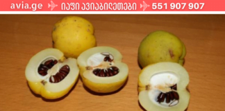 მე და ჩემი ოჯახის წევრები ეფექტურად ვმკურნალობთ ანთებას და ხველას! სულ რაღაც ერთ ღამეში დაივიწყებთ ამ პრობლემებს!