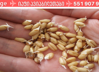 იცოდით რომ ამ ბუნების საჩუქარს მთლიანი ორგანიზმის მკურნალობა შეუძლია?! ამის ცოდნა ყველას გამოგადგებათ!