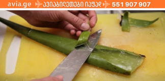 აფთიაქი ფანჯრის თაროზე: ალოეს განმაცვიფრებელი სამკურნალო თვისებები, რომლებიც აუცილებელია თქვენი ჯანმრთელობისთვის!