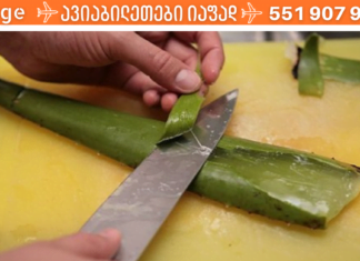 აფთიაქი ფანჯრის თაროზე: ალოეს განმაცვიფრებელი სამკურნალო თვისებები, რომლებიც აუცილებელია თქვენი ჯანმრთელობისთვის!