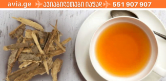 ბუნების კიდევ ერთი საჩუქარი: ვერხვის ქერქი! იგი უამრავ დაავადებას კურნავს!