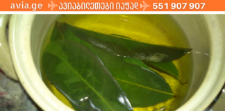 დაფნა ყოველთვის გიშველით : სამკურნალო რეცეპტები, რომელთა მომზადების შემდეგ მადლიერი იქნებით