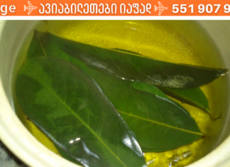 დაფნა ყოველთვის გიშველით : სამკურნალო რეცეპტები, რომელთა მომზადების შემდეგ მადლიერი იქნებით