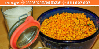 ამ უნიკალურ მცენარეს ყოველთვის ვინახავ! ამის წყალობით ქოლესტერინს და მაღალი წნევას დაანორმალიზებთ!