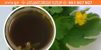 ექიმებსაც კი ვერ აუხსნიათ! ამ მცენარის წყალობით დიაბეტის მართვა ძალიან მარტივია!