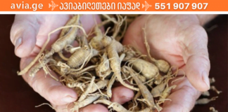 სასიამოვნოდ გაგაოცებთ ამ მცენარის ძლიერი ანთენის საწინააღმდეგო და სამკურნალო თვისებები!