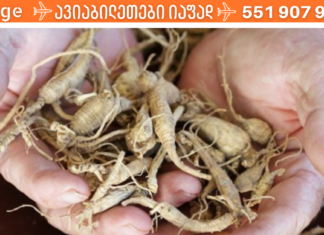 სასიამოვნოდ გაგაოცებთ ამ მცენარის ძლიერი ანთენის საწინააღმდეგო და სამკურნალო თვისებები!