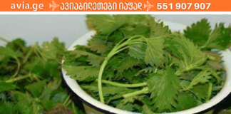 ვისაც გულის იშემიური დაავადება აწუხებს, მათი მკურნალი ეს ძლიერი მცენარე აღმოჩნდება! მისი წყალობით შეინარჩუნებთ ჩანმრთელობას!