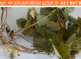 აღმოვაჩინე მცენარე, რომლის წყალობითაც სამუდამოდ დამავიწყდა რევმატოიდული ართრიტით გამოწვეული ტკივილები! ნეტავ აქამდე მცოდნოდა!