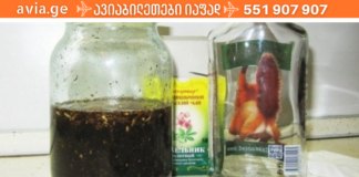 დავრწმუნდი, რომ მართლა შეიძლება სკლეროზის დაავადების 100%-ით პრევენცია ამ მცენარეების დახმარებით!