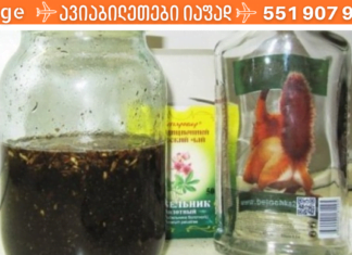 დავრწმუნდი, რომ მართლა შეიძლება სკლეროზის დაავადების 100%-ით პრევენცია ამ მცენარეების დახმარებით!