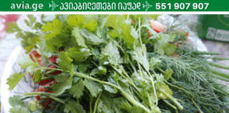 გახდი საკუთარი თავის ექიმი! ეს რეცეპტი ეფეტურად აღადგენს ჯანმრთელობას და გაახანგრძლივებს სიცოცხლეს!