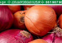 ინფორმაცია ხახვის შესახებ, რომელსაც აუცილებლად უნდა ფლობდეთ! ამაზე ეფექტური არაფერი მინახავს!