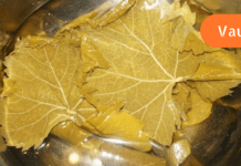 ვაზის ფოთლები ტკივილების მოსახსნელად უებარი წამალია! ეს ნამდვილი აღმოჩენა იქნება ყველასათვის!