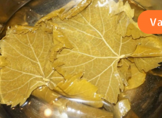 ვაზის ფოთლები ტკივილების მოსახსნელად უებარი წამალია! ეს ნამდვილი აღმოჩენა იქნება ყველასათვის!