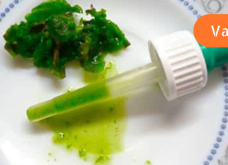 როგორ ვუმკურნალოთ ჰერპესს სახლის პირობებში?! ეს მეთოდი ყველაზე ეფექტური აღმოჩნდა!