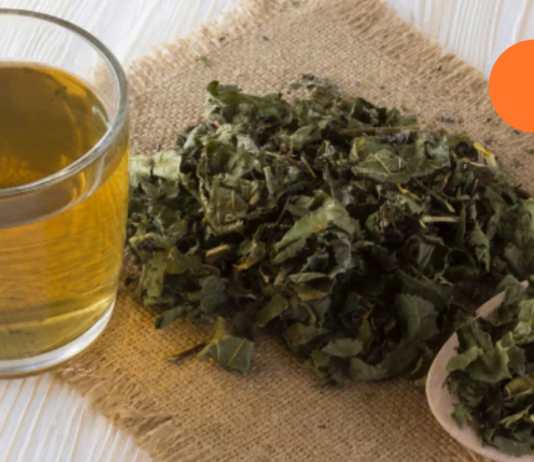 გასწავლით რეცეპტებს, რომელიც გიშველით ქრონიკული ჰეპატიტის დროს, მაგრამ ზუსტად უნდა დაიცვათ მკურნალობის წესი!