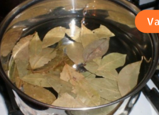 თუ ეს დაავადებები გაწუხებთ, მაშინ დროა დაიწყოთ დაფნის ნახარშის მომზადება!