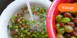 სამუდამოდ მოიშორეთ თავის ტკივილი ამ საოცარი მცენარის დახმარებით! ინფორმაცია, რომელსაც უნდა ფლობდეთ!