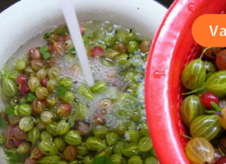 სამუდამოდ მოიშორეთ თავის ტკივილი ამ საოცარი მცენარის დახმარებით! ინფორმაცია, რომელსაც უნდა ფლობდეთ!