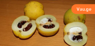 დისბაქტერიოზის მკურნალობის ყველაზე სწრაფი წამალი ხალხური მედიცინისგან!