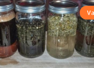 გამობერილი ვენების სამკურნალოდ გამოიყენეთ ეს შესანიშნავი მალამო, რომელიც დროში გამოცდილია!